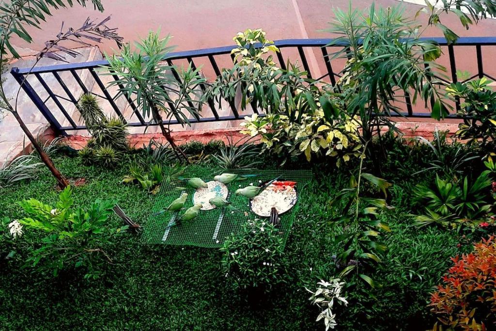 Saru Holiday Apartment - Upto 6 Guests Kandy Exterior photo